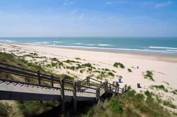 Studio Des Dunes Appartement Blankenberge Buitenkant foto